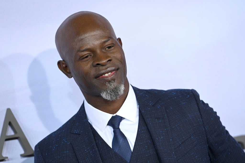 Djimon Hounsou Joins Tony Kaye’s ‘African History Y’ – Deadline