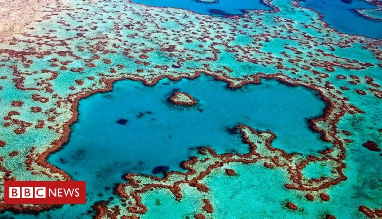 Great Barrier Reef has lost half of its corals since 1995