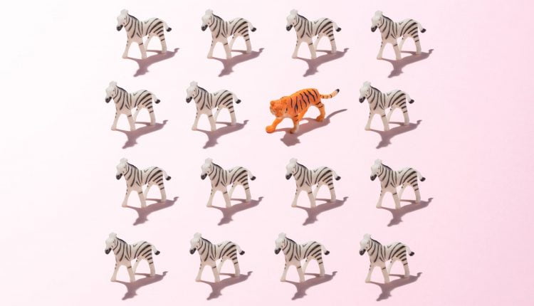 5 Ways to Differentiate Your Products and Services in an Oversaturated Market
