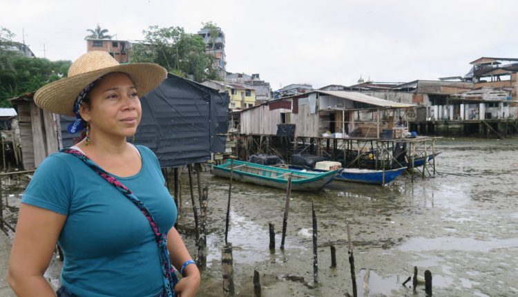Amnesty: Killing of Colombia activists result of failed policies | Latin America