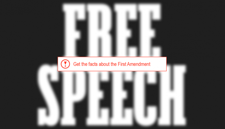 The Problem of Free Speech in an Age of Disinformation