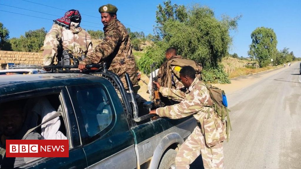 Tigray crisis: Local residents ordered to defend against Ethiopia army