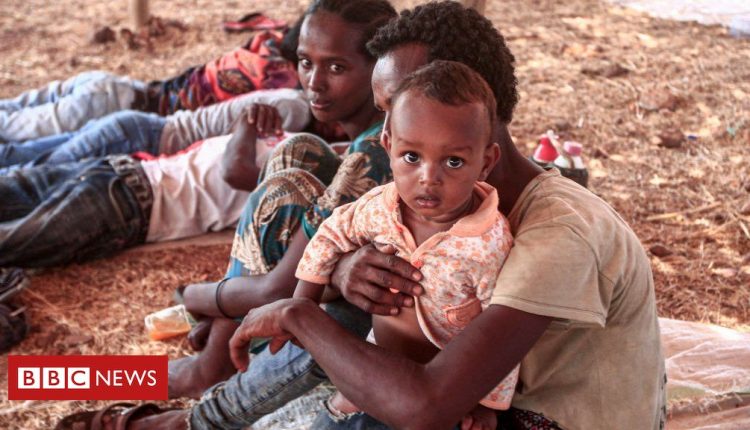Ethiopia Tigray crisis: Government forces 'march on capital'