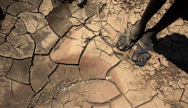Lessons learned from COVID-19 can help us fight climate change | Opinions