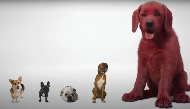 First Look At ‘Clifford The Big Red Dog’ Draws Mixed Reviews, But Mostly Jokes – Deadline