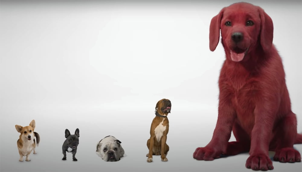 First Look At ‘Clifford The Big Red Dog’ Draws Mixed Reviews, But Mostly Jokes – Deadline