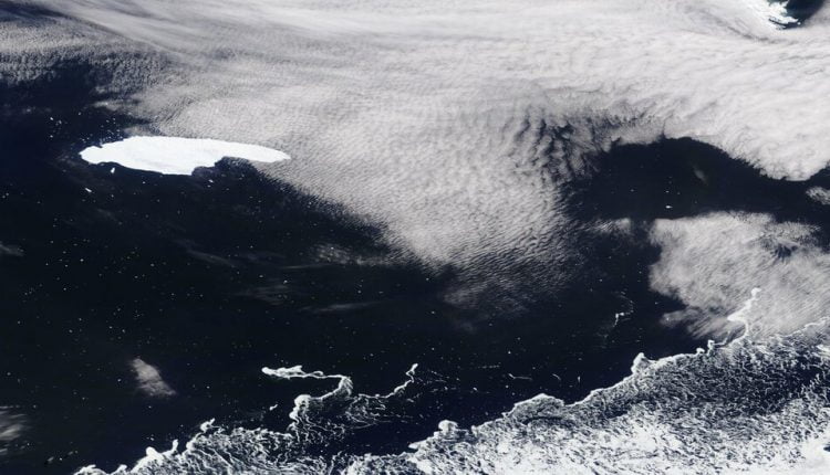 Iceberg Headed for Sub-Antarctic Island Could Threaten Wildlife