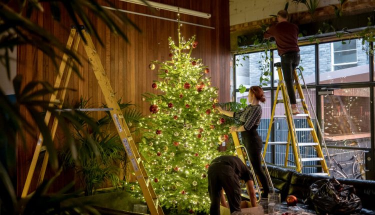 It’s a Lovely Winter in Europe. If You’re Selling Christmas Trees.