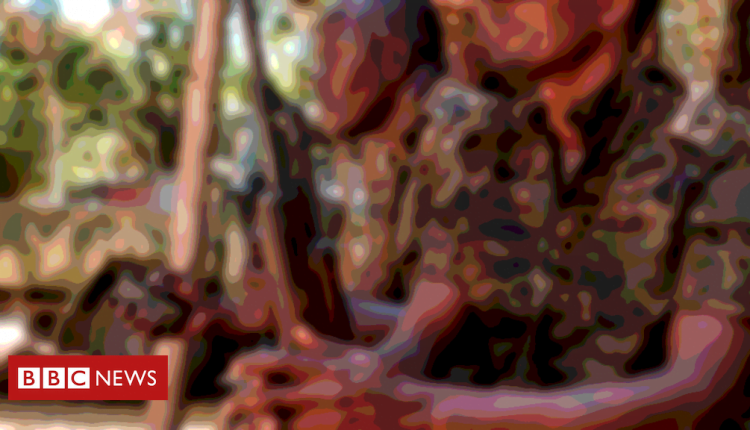 Ethiopia's Tigray crisis: How a soldier survived an 11-hour gun battle