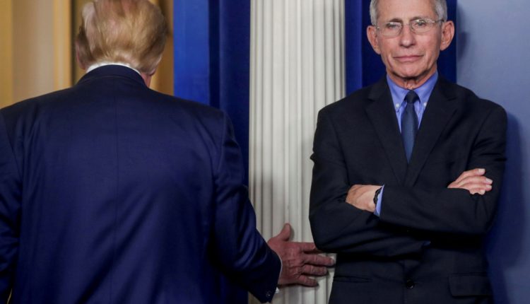 Fauci to have first ‘substantive discussions’ with Biden team | US & Canada