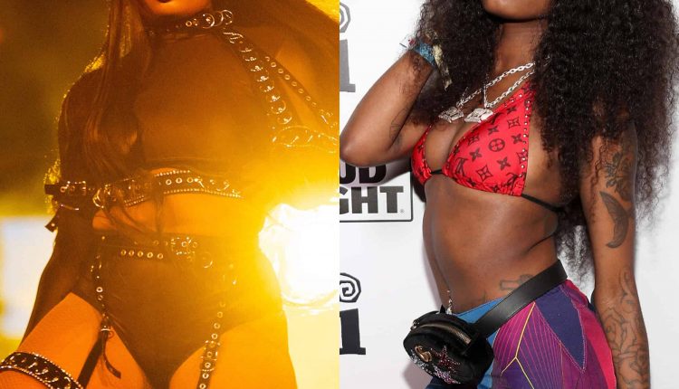 Megan Thee Stallion And Asian Doll Exchange Words On Twitter