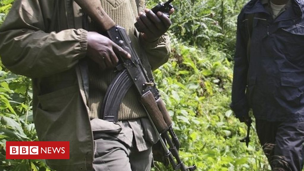 Six rangers killed in DR Congo's Virunga National Park