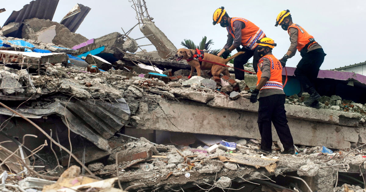 Indonesia quake toll hits 56 as rescuers race to find survivors | Earthquakes News