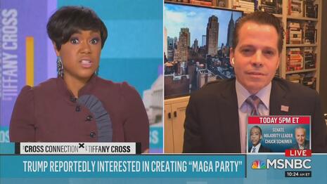 Tiffany Cross Anthony Scaramucci MSNBC The Link 1-30-21