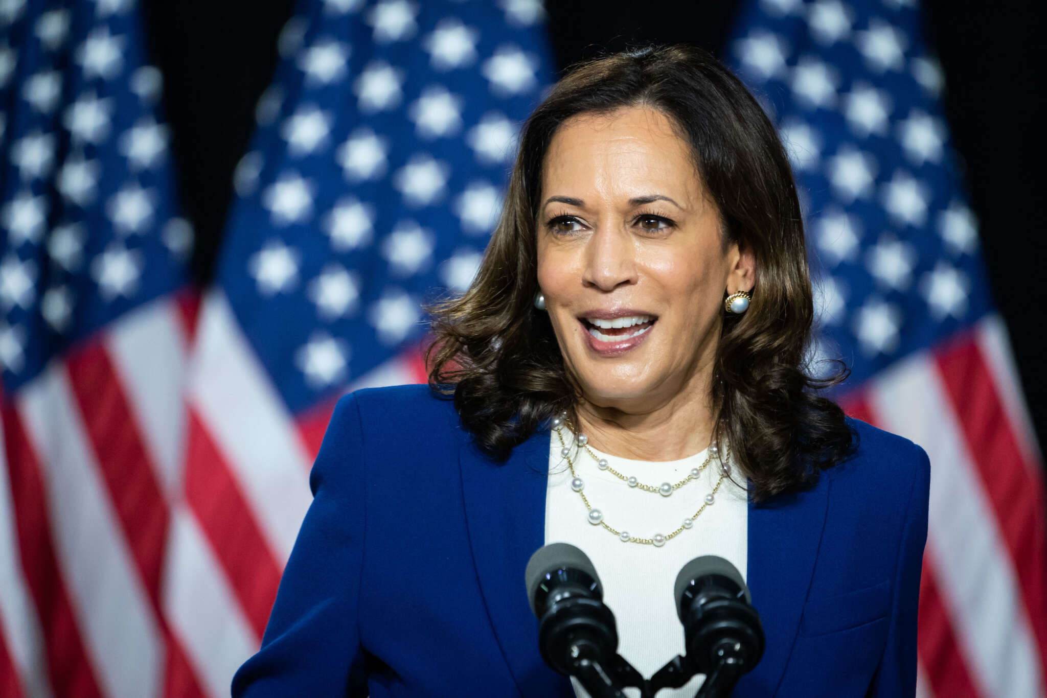 Kamala Harris Insists That ‘You Don’t Meet Hate With Hate’ While Discussing The Deep Divide In America