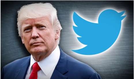 Exclusive: 120 Prominent Twitter Leftists Call for President Trump to Be Banned