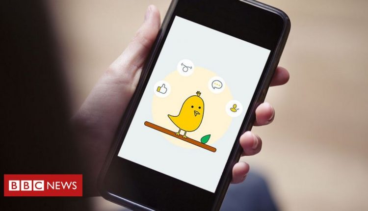 Koo v Twitter: Why India's government is favouring a social media newcomer