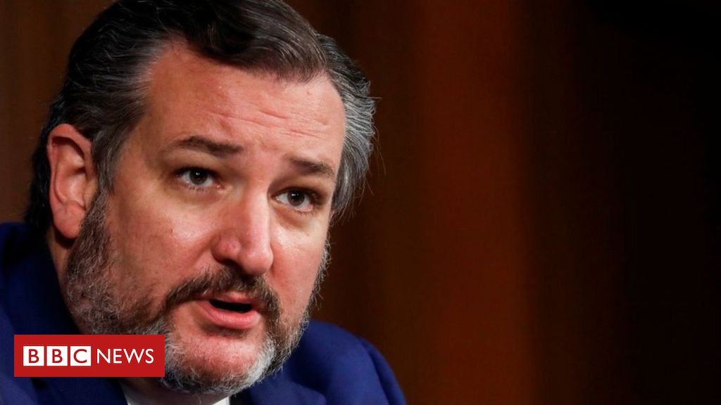 Texas Senator Ted Cruz flew to Mexico amid state energy crisis, US media report