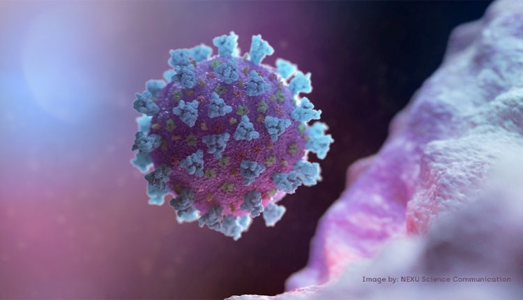The ‘superspreaders’ behind COVID-19 conspiracy theories | Coronavirus pandemic News