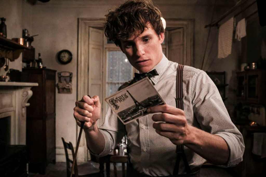 ‘Fantastic Beasts 3’ Pauses UK Production After Positive Covid Test – Deadline
