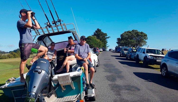New Zealand Faces Tsunami Threat After 8.1-Magnitude South Pacific Earthquake