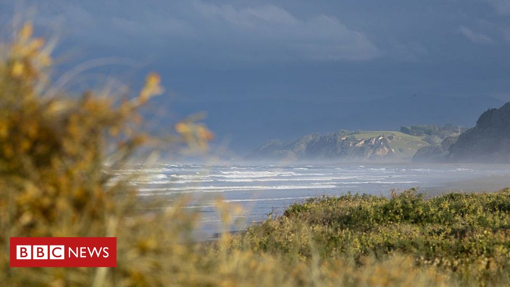New Zealand earthquakes: Tsunami warnings lifted after evacuations