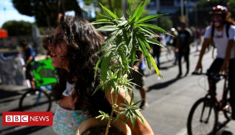 Mexico marijuana: Lower house passes recreational cannabis bill