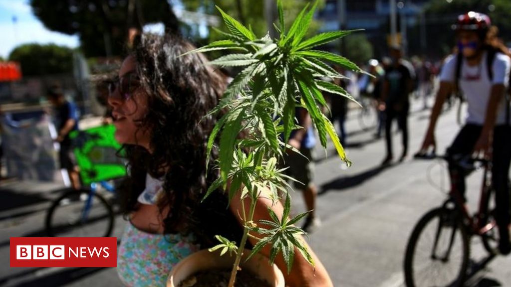 Mexico marijuana: Lower house passes recreational cannabis bill