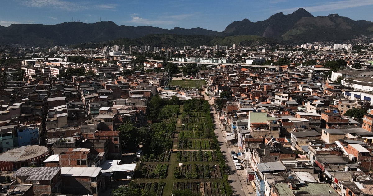 ‘Food security is security’: Brazil’s urban farm success story | Agriculture News