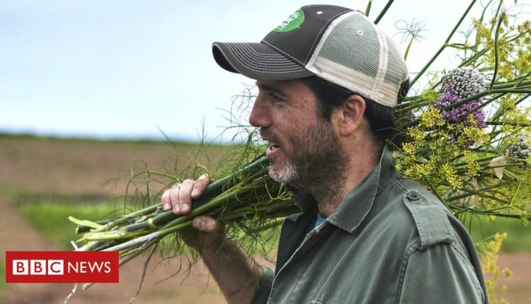 How farmers and scientists strive for more flavour